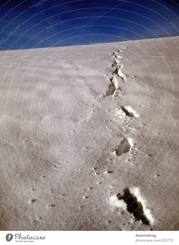 die letzten Spuren des Winters Umwelt Natur Landschaft Erde Himmel Wolkenloser Himmel Wetter Schönes Wetter Eis Frost Schnee Hügel blau weiß Ferne Wege & Pfade