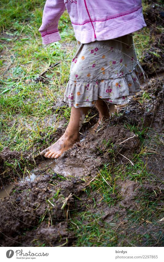 Kindheit Spielen Kindererziehung feminin Mädchen Körper 1 Mensch 3-8 Jahre Sommer Herbst Wiese schlammig Rock gehen Armut authentisch nass natürlich positiv