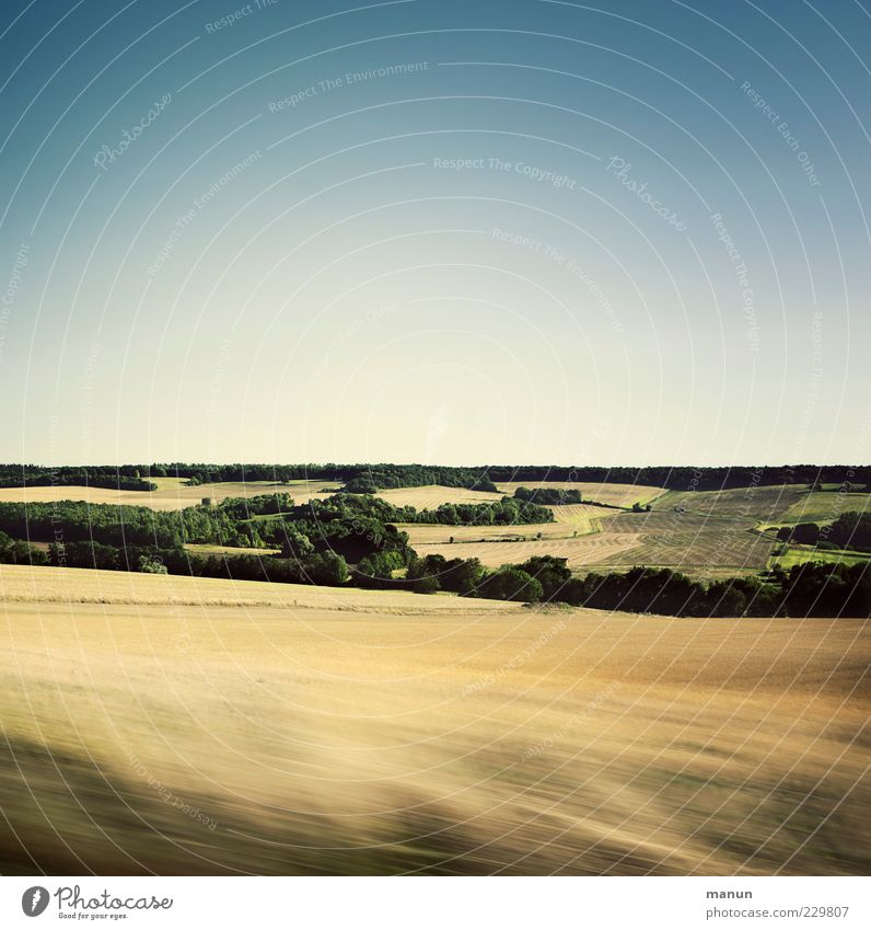 Vorbeifahr'n Natur Landschaft Himmel Sommer Schönes Wetter Nutzpflanze Weizenfeld sommerlich Sommertag Feld Wald Hügel authentisch einfach natürlich schön