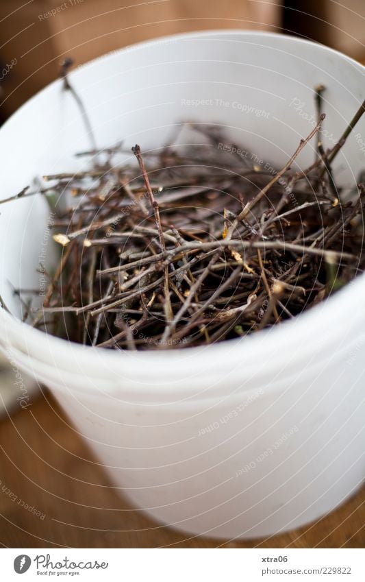 zweige Holz weiß Zweige u. Äste Farbfoto Eimer Sammlung Schwache Tiefenschärfe Menschenleer Nahaufnahme dünn rund Vogelperspektive Inhalt Biomüll Biomasse