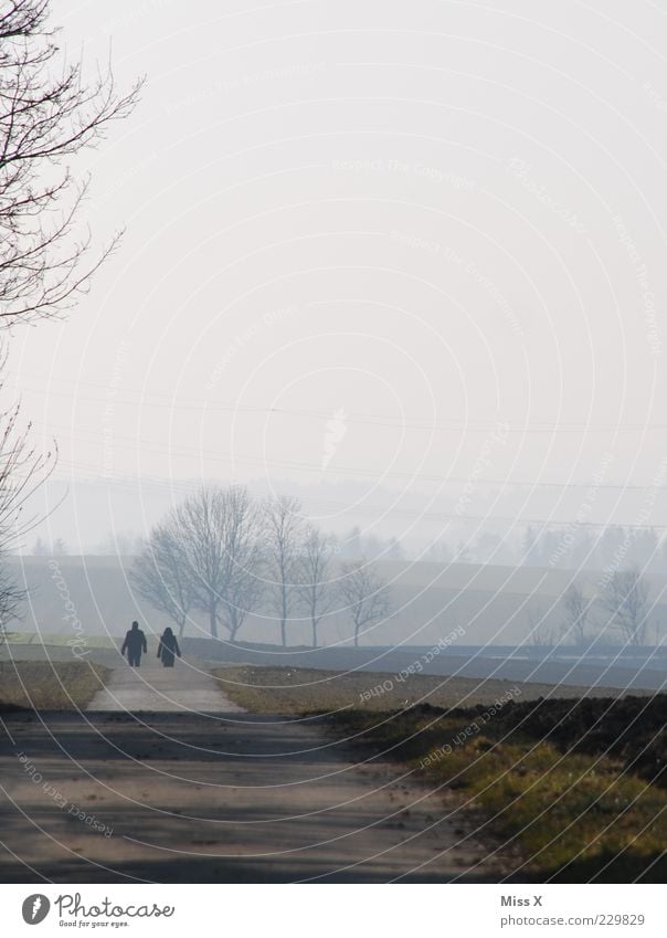 2 unter sich ruhig Ausflug Ferne Paar Partner Mensch Herbst Winter schlechtes Wetter Nebel Feld Straße Wege & Pfade gehen laufen Stimmung Liebeskummer Farbfoto