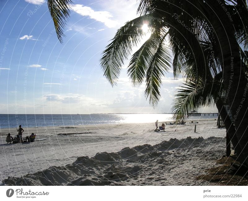 Am Strand Meer Palme Sand Sonne Himmel