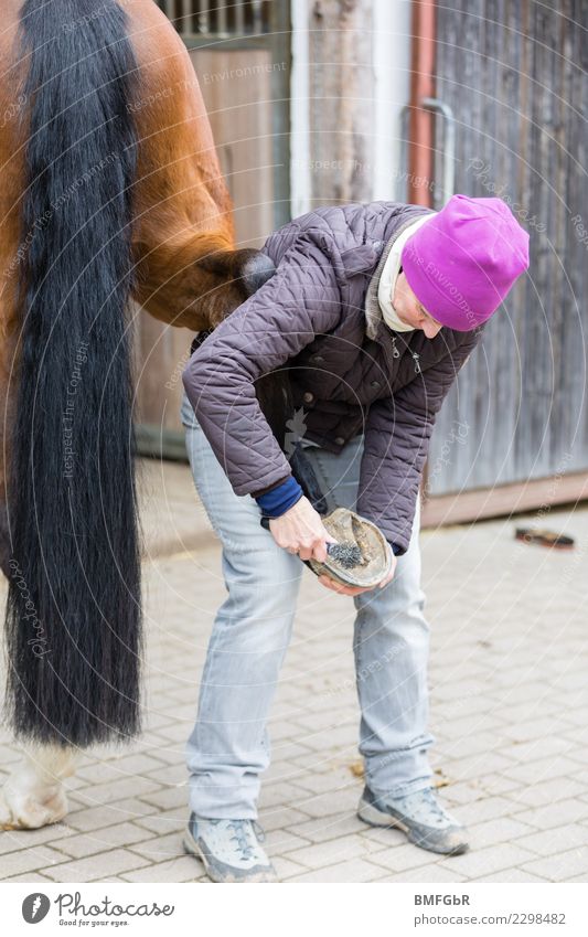 Pferdehufe auskratzen Lifestyle Freizeit & Hobby Reiten Sport Reitsport Pferdepfleger Mensch Frau Erwachsene 1 30-45 Jahre Tier Haustier Nutztier Hufkratzer