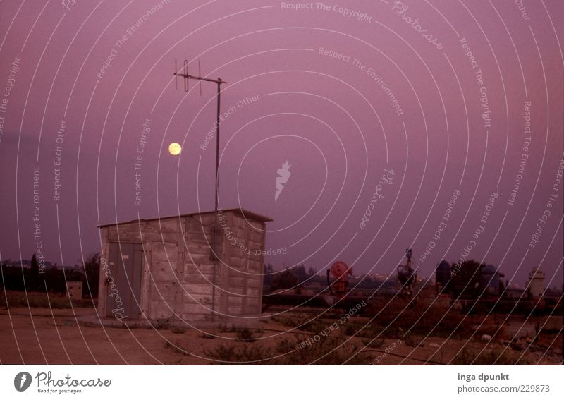 Baustellenbeleuchtung Hausbau Maschine Umwelt Wolkenloser Himmel Mond Vollmond Sommer Menschenleer Hütte Industrieanlage Fabrik Gebäude Brachland