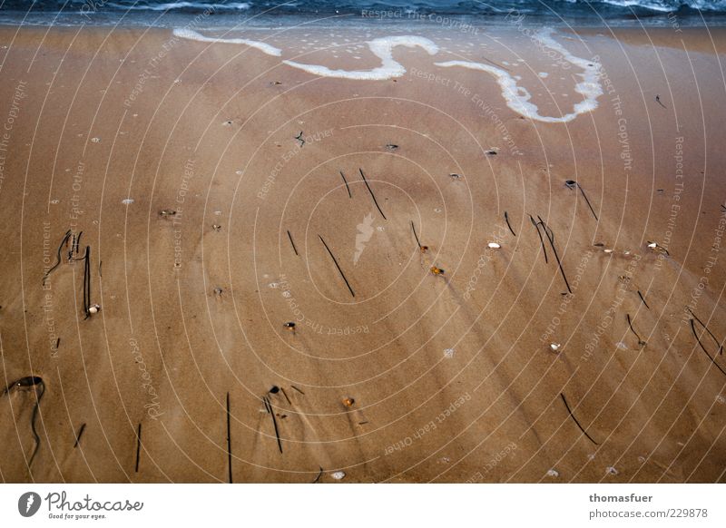 am Meer Wellen Landschaft Erde Sand Wasser Küste Strand Nordsee Ostsee träumen Flüssigkeit nass natürlich blau braun schön Gelassenheit ruhig Zufriedenheit