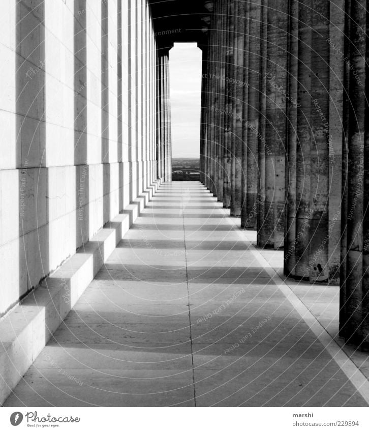 die Säulen der Erde Bauwerk Gebäude Architektur Mauer Wand Fassade Sehenswürdigkeit Wahrzeichen Denkmal alt Gang Stein Fluchtpunkt Schwarzweißfoto Schatten