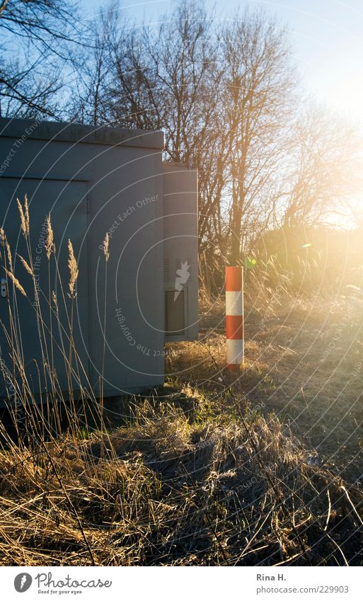 HandyMastAnlageDetail Technik & Technologie Fortschritt Zukunft Telekommunikation Natur Landschaft Pflanze Sonne Winter Schönes Wetter Gras Feld leuchten Umwelt