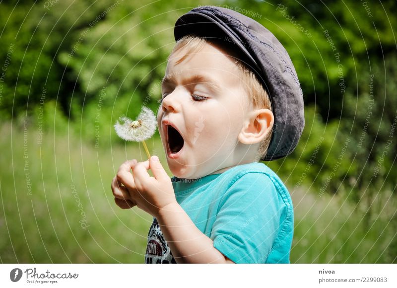 PFUSTE... Kindererziehung Wissenschaften Mensch maskulin Junge 1 3-8 Jahre Kindheit Umwelt Natur Landschaft Pflanze Tier Baum Blume Gras Löwenzahn Garten