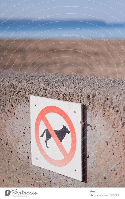 No dogs allowed Strand Natur Hund Stein Schilder & Markierungen Verbotsschild Respekt Verbote Einsamkeit Enttäuschung Ordnung Farbfoto mehrfarbig Außenaufnahme