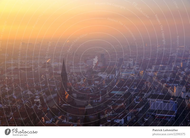 Freiburg von oben Tourismus Städtereise Umwelt Himmel Horizont Schönes Wetter Freiburg im Breisgau Deutschland Europa Stadt Stadtzentrum Altstadt Haus Kirche