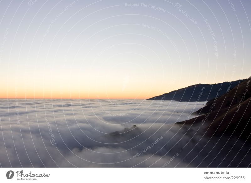 Wolken über der Oregon Coast Umwelt Natur Landschaft Urelemente Erde Luft Himmel Horizont Sonne Sonnenaufgang Sonnenuntergang Sonnenlicht Sommer Herbst Klima