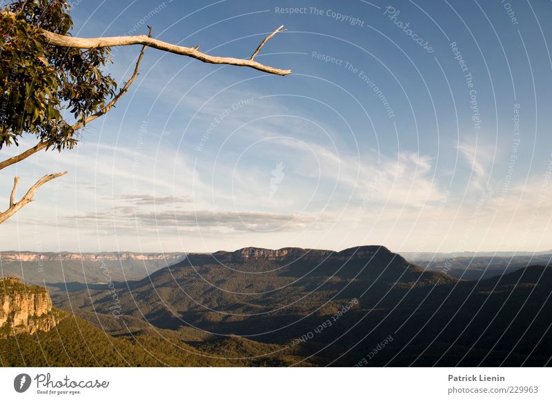 Echo point Umwelt Natur Landschaft Pflanze Himmel Wolken Sonnenlicht Sommer Klima Klimawandel Wetter Schönes Wetter Baum Wald Urwald Hügel Felsen