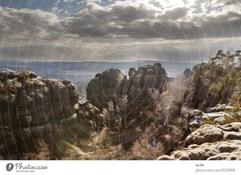 Elbsandsteine Freiheit Berge u. Gebirge Natur Landschaft Himmel Wolken Sächsische Schweiz Erholung hoch Farbfoto Außenaufnahme Menschenleer Tag Sonnenstrahlen