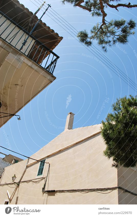 Porto Colom Wolkenloser Himmel Sommer Schönes Wetter Baum Kleinstadt Haus Mauer Wand Balkon Fenster Dachrinne alt authentisch Warmherzigkeit ästhetisch Pinie