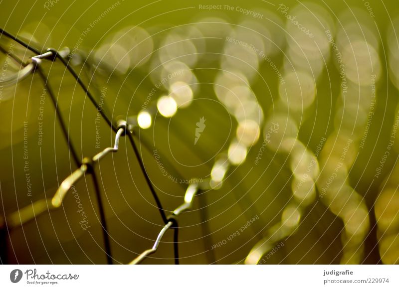 Maschendraht Zaun Metall leuchten grün Maschendrahtzaun Schlaufe Netz Punkt Farbfoto Außenaufnahme Licht Lichterscheinung Schwache Tiefenschärfe