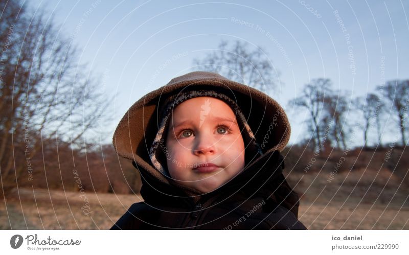 Ich schmolle maskulin Kind Kleinkind Junge Kindheit Kopf 1 Mensch 1-3 Jahre Mütze Denken Blick sitzen Traurigkeit Coolness authentisch klein natürlich