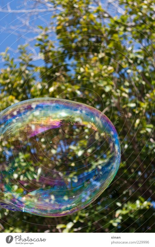 große Seifenblase Baum grün Natur Wasser glänzend Schliere Spielen Fröhlichkeit Himmel Tag Farbfoto Süden Spanien Kunst Reflexion & Spiegelung blau Blase rund