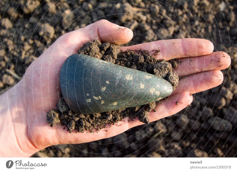 Neolithische / jungsteinzeitliche Axt in Hand Mensch Gartenzwerge Sammlung Sammlerstück Stein alt dreckig Originalität braun Europa Steinaxt Steinwerkzeug