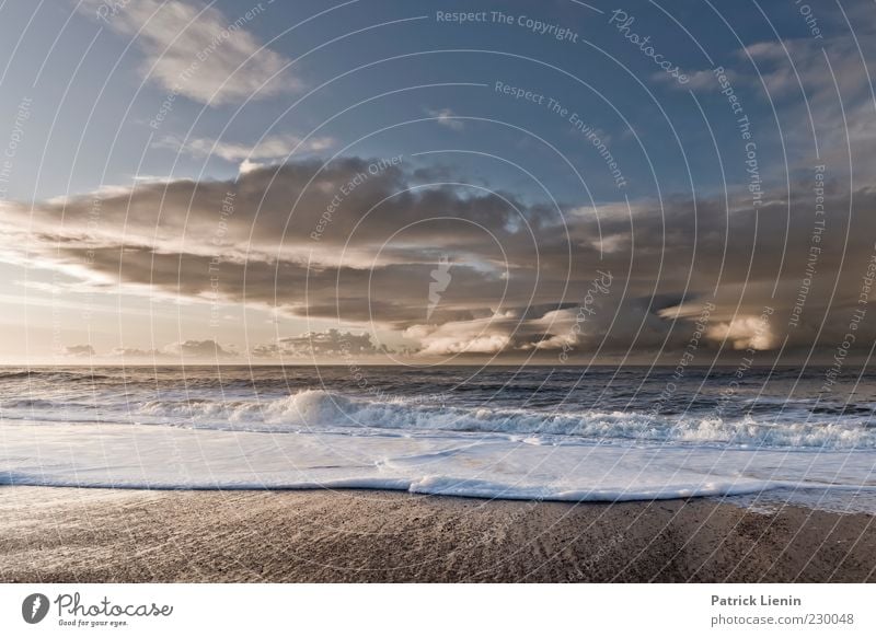 Let us be Umwelt Natur Urelemente Luft Wasser Himmel Wolken Gewitterwolken Sonnenlicht Klima Klimawandel Wetter Schönes Wetter Wind Sturm Wellen Küste Strand