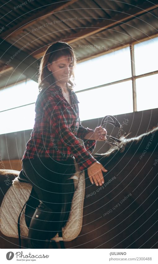 Reife Frau reitet ihr Pferd in ihrer Freizeit auf einem Bauernhof. Erwachsene Tier Konzepte & Themen Tag heimisch Pferderücken Innenaufnahme Lifestyle reif