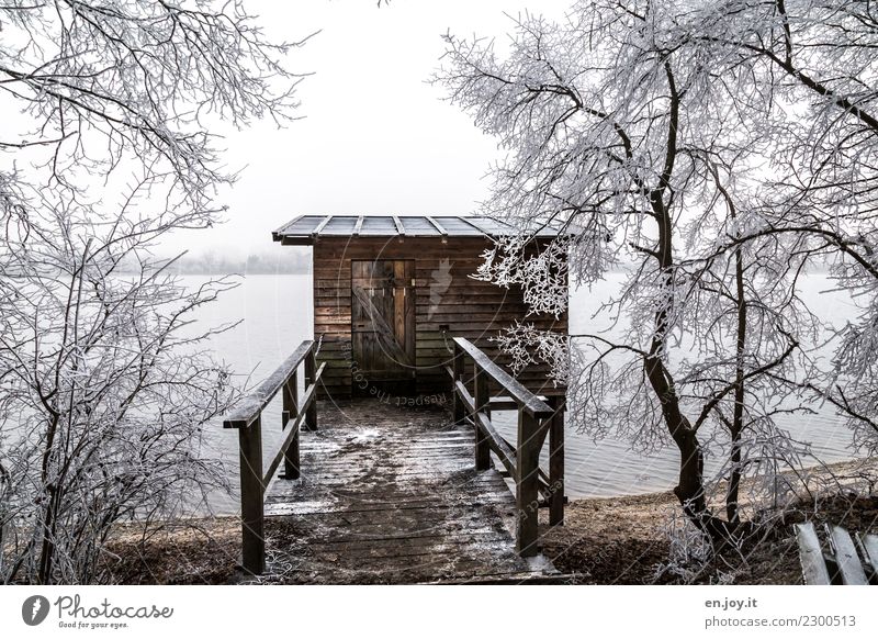 Versteck Angeln Jagd Natur Landschaft Winter Eis Frost Baum See Hütte kalt Schutz ruhig Steg Holz Holzhaus Farbfoto Gedeckte Farben Außenaufnahme Menschenleer