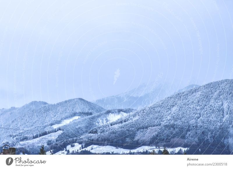 Morgenblau Ferne Freiheit Winter Schnee Winterurlaub Berge u. Gebirge Wald Hügel Unendlichkeit kalt natürlich positiv weiß Natur Farbfoto Außenaufnahme