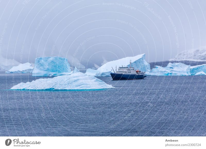 Schneefall und Kreuzfahrtschiff zwischen blauen Eisbergen in Port Charcot Ferien & Urlaub & Reisen Tourismus Ausflug Abenteuer Ferne Expedition Meer Winter