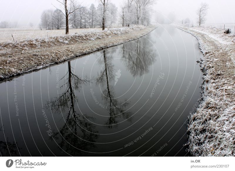 Winterzauber Landschaft Wasser Eis Frost Einsamkeit Außenaufnahme Tag Flussufer Wasserspiegelung kalt Menschenleer Baum