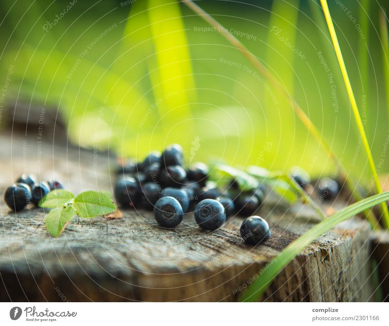 selbstgepflückte Blaubeeren Lebensmittel Frucht Marmelade Ernährung Essen Frühstück Picknick Bioprodukte Vegetarische Ernährung Diät kaufen Gesundheit