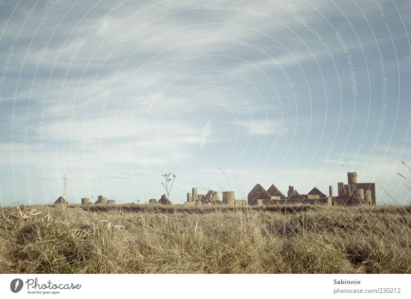 Slains Castle Kultur Natur Landschaft Himmel Wolken Schönes Wetter Gras Sträucher Küste Menschenleer Architektur Festung Burg oder Schloss Burgturm Turm Ruine