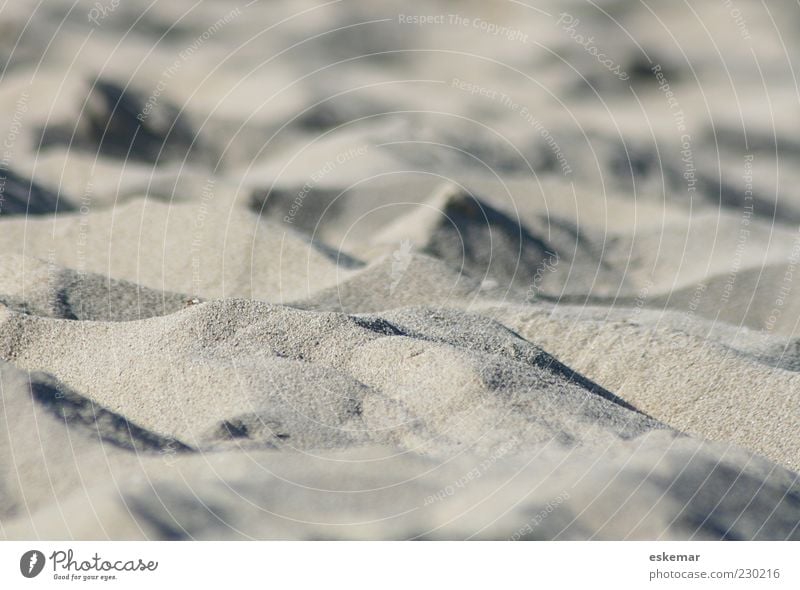 Sand Natur Urelemente Sonnenlicht Sommer Dürre Hügel Strand Wüste Sandstrand Stranddüne ästhetisch authentisch trocken braun grau Erholung ruhig Umwelt Farbfoto