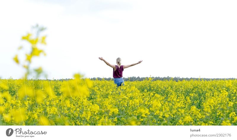 Freiheit Freude Glück schön Zufriedenheit Erholung Sommer Erfolg Junge Frau Jugendliche Erwachsene Natur Frühling Feld blond genießen lachen stehen frei