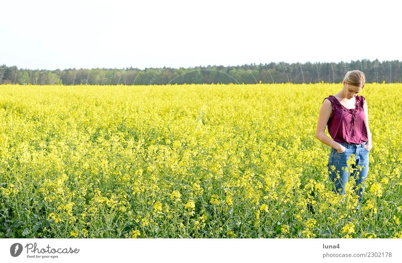 Frühling 3 Glück schön Zufriedenheit Erholung Freiheit Sommer Junge Frau Jugendliche Erwachsene Natur Feld blond genießen Traurigkeit dünn frei Fröhlichkeit