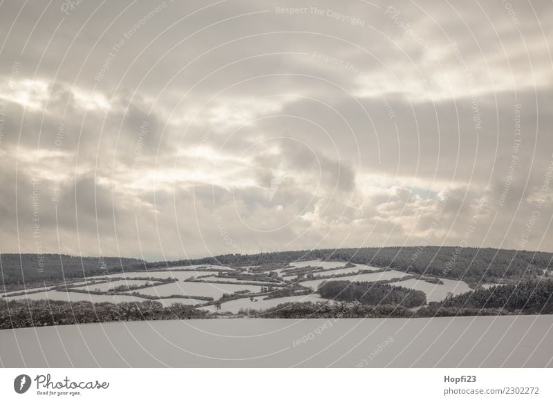 Landschaft im Winter Ferien & Urlaub & Reisen Ausflug Abenteuer Ferne Freiheit Schnee Winterurlaub Umwelt Natur Pflanze Himmel Wolken Sonne Wiese Feld Wald kalt