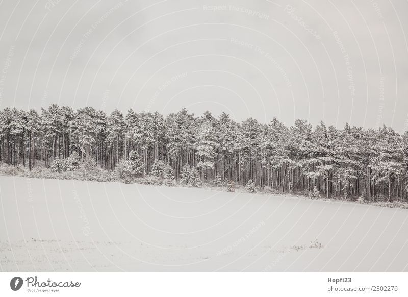 Landschaft im Winter Ferien & Urlaub & Reisen Ausflug Abenteuer Ferne Freiheit Schnee Winterurlaub Umwelt Natur Pflanze Eis Frost Baum Wiese Wald Hügel kalt