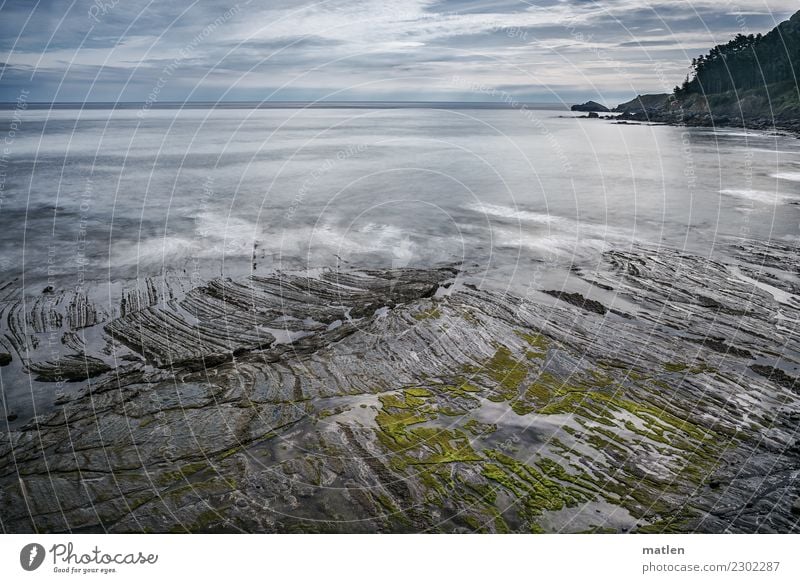 baskischer Strand Landschaft Himmel Wolken Horizont Sommer Wetter Baum Felsen Küste Meer wild blau braun grau grün weiß Flysch Baskenland Farbfoto Außenaufnahme