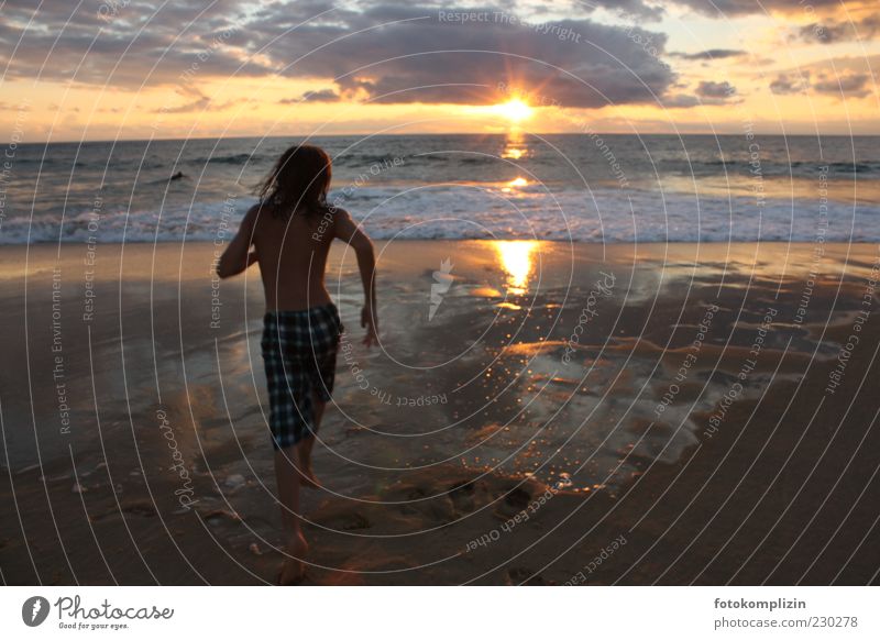 Junge spurtet der untergehenden Sonne entgegen ins Meer Kind Glück Ferien Sonnenuntergang Sommer Strand Wasser baden Schwimmen & Baden rennen frei Gefühle