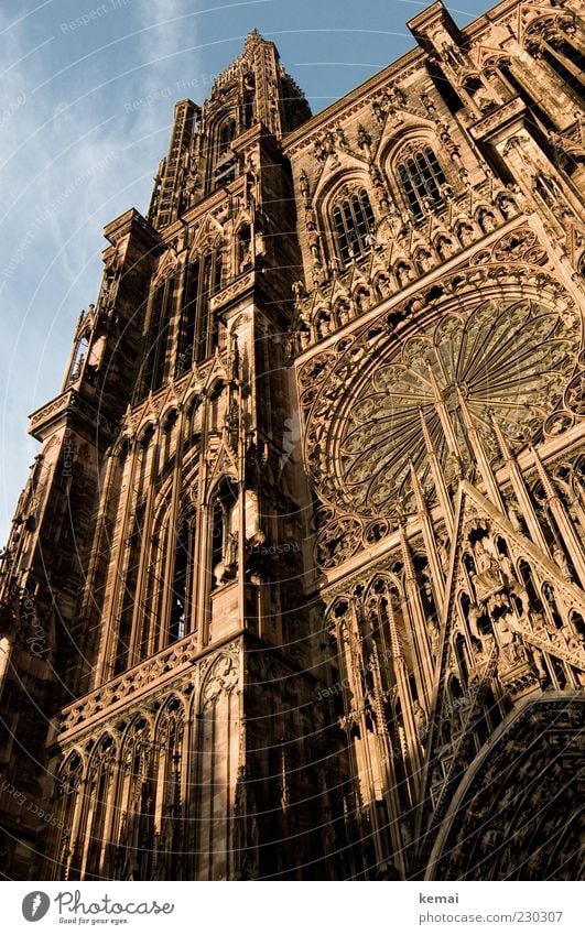 Straßburger Münster Altstadt Kirche Bauwerk Gebäude Architektur Kathedrale Fassade Sehenswürdigkeit Wahrzeichen Sandstein alt groß hell hoch gewaltig