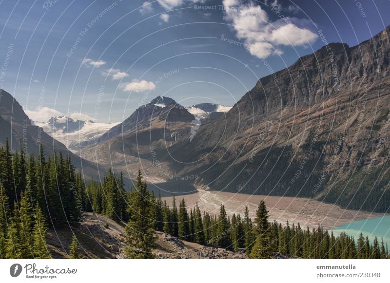 Peyto Lake Natur Landschaft Himmel Klima Baum Wald Berge u. Gebirge Gletscher Schlucht Banff National Park Kanada Menschenleer Reisefotografie Wolken Farbfoto