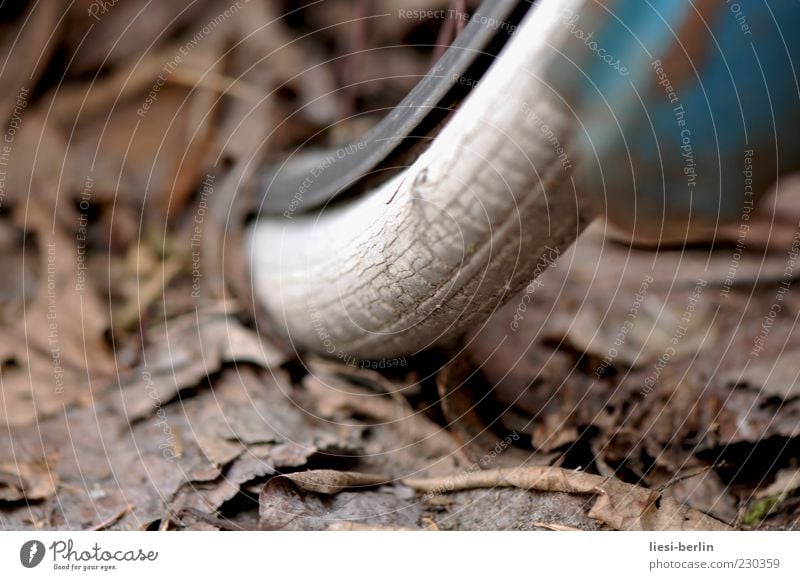 Diamant Fahrrad Herbst Verfall Vergänglichkeit Reifen Fahrradreifen Gummi Felge Blatt Makroaufnahme Reifenprofil Schwache Tiefenschärfe alt Reifenpanne