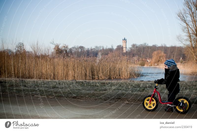 Ausflug Abenteuer Freiheit Winter maskulin Kind Kleinkind Junge Kindheit 1 Mensch 1-3 Jahre Natur Landschaft Himmel Schönes Wetter Park Potsdam Brandenburg