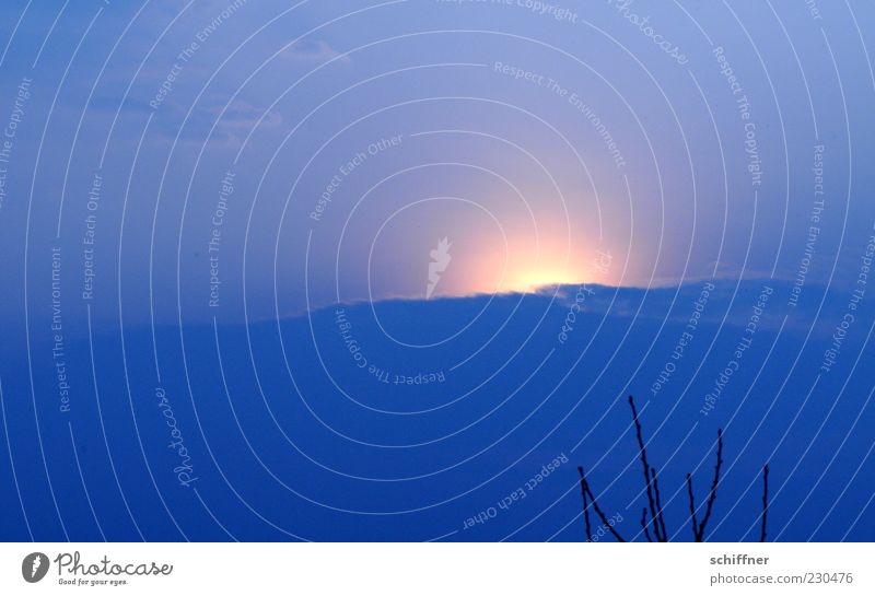 444 Urelemente Luft Himmel Wolken Sonne Sonnenaufgang Sonnenuntergang Sonnenlicht Wetter kalt blau Hoffnung Ast Wetterumschwung diffus Aura Außenaufnahme