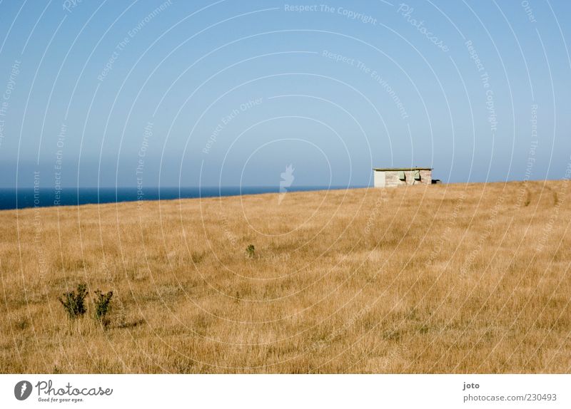 mein häuschen Natur Landschaft Himmel Horizont Sommer Wiese Hügel Meer alt Ferne Unendlichkeit friedlich ruhig bescheiden Heimweh Fernweh Einsamkeit Freiheit