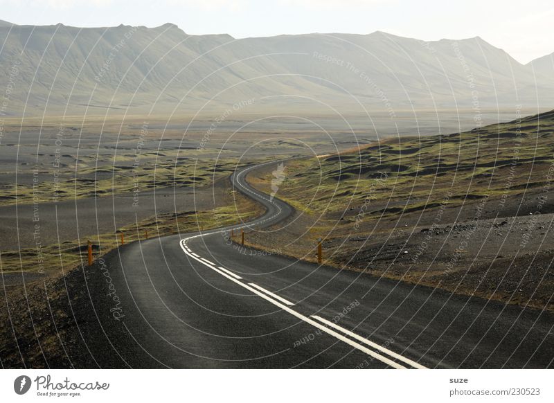 Erwartung Umwelt Natur Landschaft Nebel Berge u. Gebirge Schlucht Verkehr Straße Wege & Pfade Einsamkeit einzigartig Freiheit Ziel Island Asphalt Kurve Farbfoto