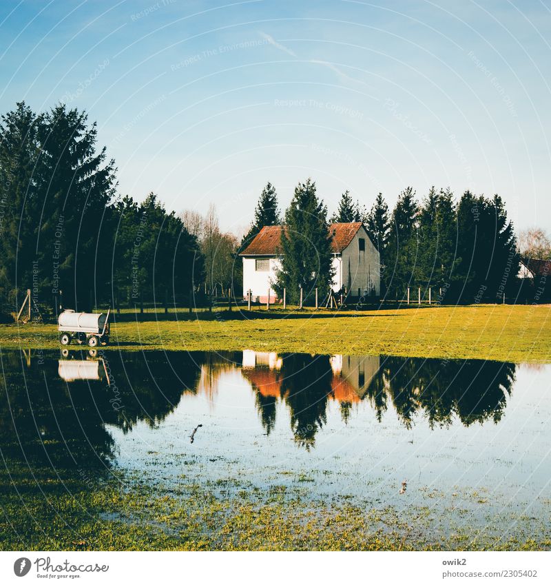 La Mer Umwelt Natur Landschaft Pflanze Wasser Wolkenloser Himmel Horizont Schönes Wetter Baum Gras Wiese Landkreis Teltow-Fläming Deutschland Dorf bevölkert