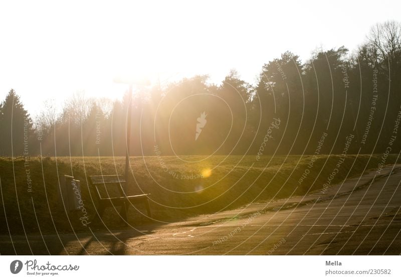 Ein Platz an der Sonne Umwelt Landschaft Sonnenlicht Straße Wege & Pfade Bank leuchten Wärme Energie Schilder & Markierungen hell Sonnenenergie Farbfoto