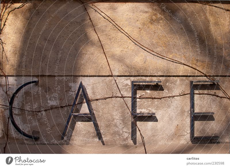 Es ist immer Zeit für einen guten Kaffee ....... alt Café Typographie Metall Buchstaben Putz braun Ranke Schatten Sonnenlicht Schilder & Markierungen