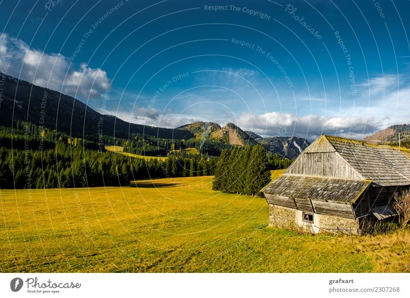 Ländliche Landschaft mit Bergen in Österreich alpin Bauernhof Baum Berge u. Gebirge Europa Felsen Forstwirtschaft friedlich Haus Herbst Klima ländlich