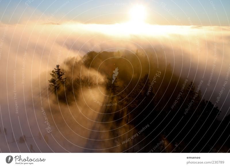 Schwarzwaldnebel Ferne Freiheit Winter Umwelt Natur Landschaft Luft Wasser Himmel Wolken Klima Wetter Nebel Eis Frost Baum Wald Hügel Alpen Berge u. Gebirge