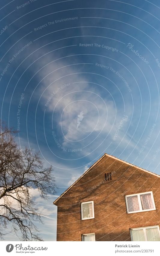 Draussen hinterm Fenster Umwelt Urelemente Luft Himmel Wolken Sonnenlicht Klima Wetter Schönes Wetter Pflanze Baum Haus Einfamilienhaus Bauwerk Gebäude Mauer